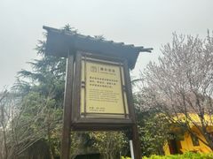 -汤山一号温泉度假区