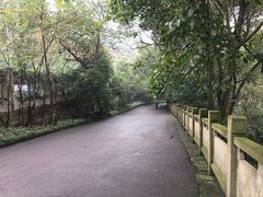 -忠山公园