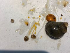 -指爱龙虾(金杨路总店)