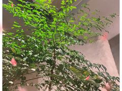 -Laures·月桂西班牙碳烤餐厅(十尚坊店)