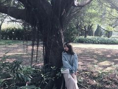 -南沙蒲洲花园