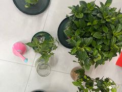 -绝味鸭脖(曲阳路二店)