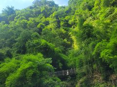 -三峡人家风景区