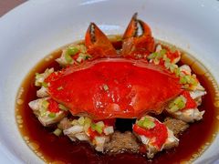酒酿汁蒸三门青蟹-新光酒家·河豚·海鲜·蟹料理(浦东店)
