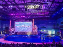 -华夏文旅海洋公园