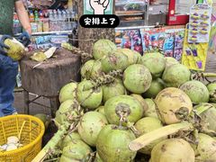 -万绿园
