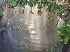 -青青世界