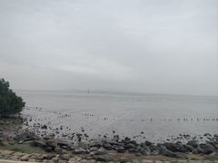 -深圳湾公园(南山区)