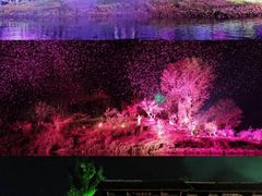 -常德桃花源景区