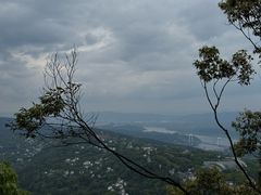 -南山植物园