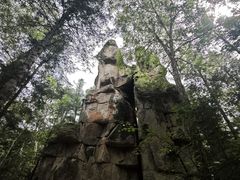 -汤旺河林海奇石景区