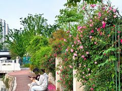 -武汉理工大学(余家头校区)