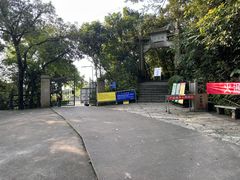 -梧桐山风景名胜区