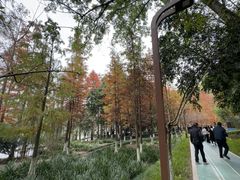 -重庆彩云湖湿地公园