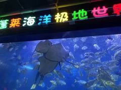 -蓬莱欧乐堡海洋极地世界