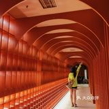 必打卡的东南亚菜系网红餐厅