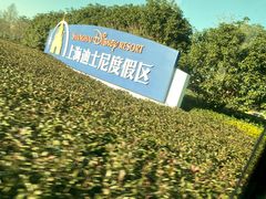 -上海迪士尼度假区