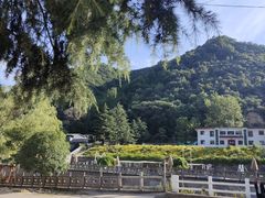 -西安祥峪森林公园
