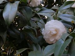 -雀儿山公园
