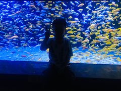 -成都浩海立方海洋公园