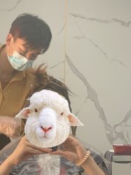 -东方美妍