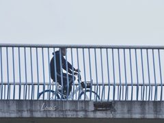 -白鹭湾湿地公园