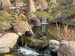 -罗红摄影艺术馆