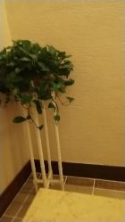 -锦尚名仕Hair Salon