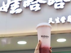 门面-娃哈哈·奶茶(武林店)