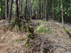 -火炉山森林公园