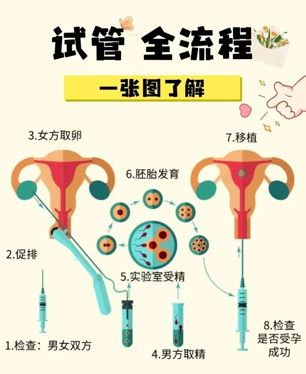 试管移植放入过程图图片