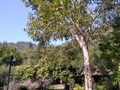 -草庵摩尼教遗址公园