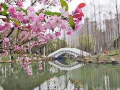 -大宁公园