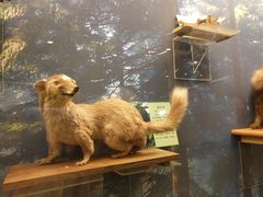 -下渚湖国家湿地公园科普馆