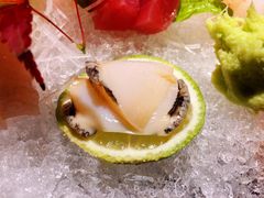 -森味薪火烧•烧鸟居酒屋•日本料理(望京店)