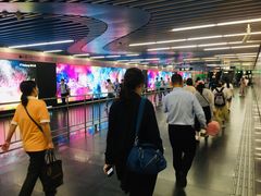 -大望路(地铁站)