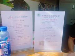 -西双版纳原始森林公园