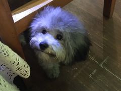 -默迹咖啡馆