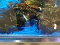 -盒马鲜生(财富中心店)