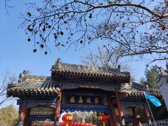 -大槐树寻根祭祖园