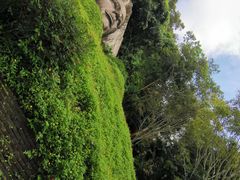 -西双版纳基诺山寨