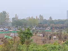 -西安软件新城软件研发基地2期