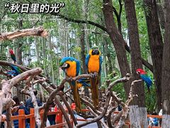 -北京野生动物园