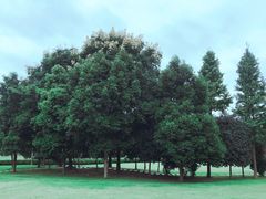 -中国天府农业博览园