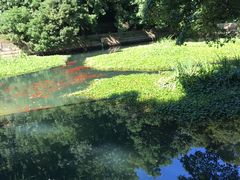 -普陀山风景名胜区-法雨禅寺