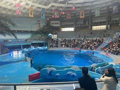-海合安成都极地海洋公园