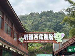 -野象谷景区