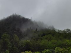 -杨家堂村