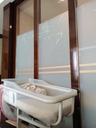 -臻康乃馨月子中心(凯宾斯基店)