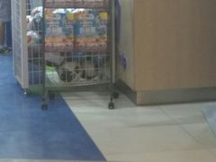 -TOYSRUS玩具反斗城(天津远洋乐堤港店)